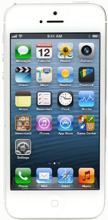 Смартфон Apple iPhone 5 32Gb White & Silver - Ирбит